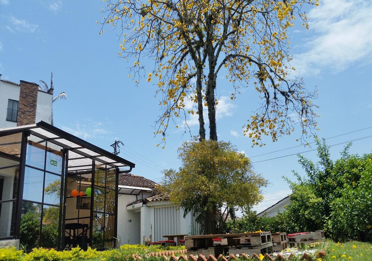 Hostal Morobik Popayan Exterior photo